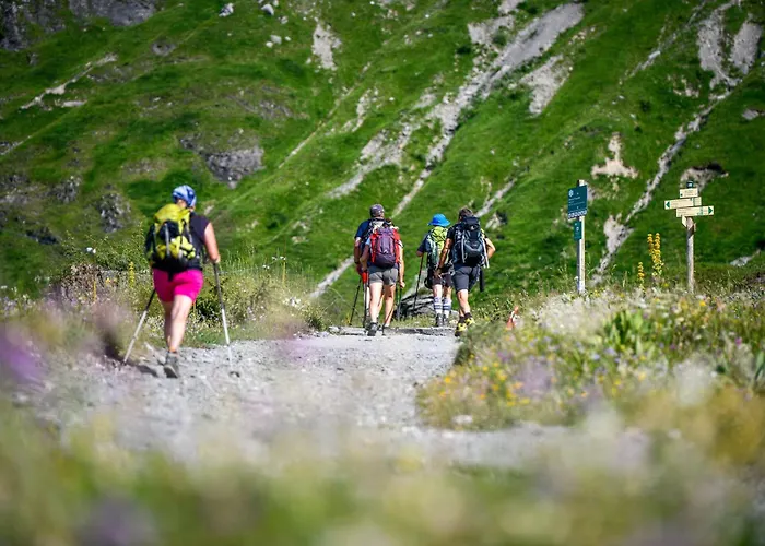 De Denis Luxe Alpin Et Emplacement Ideal A * 梅杰夫