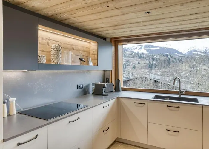 De Denis Luxe Alpin Et Emplacement Ideal A * 梅杰夫