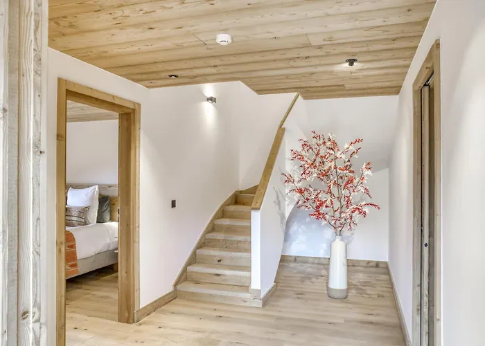 De Denis Luxe Alpin Et Emplacement Ideal A * 梅杰夫