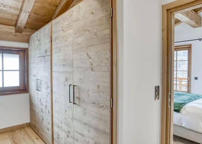 De Denis Luxe Alpin Et Emplacement Ideal A 梅杰夫